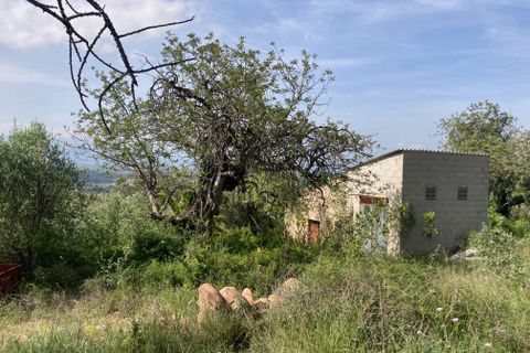 Landejendom i El Perello, Tarragona, El Perello - € 74.000 | Ref: FincaVistaValle - foto 20